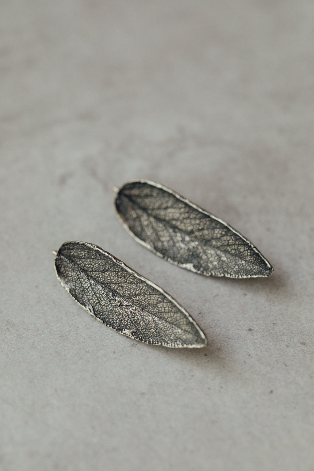 Pendientes Salvia L