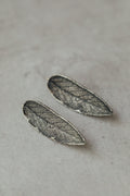 Pendientes Salvia L