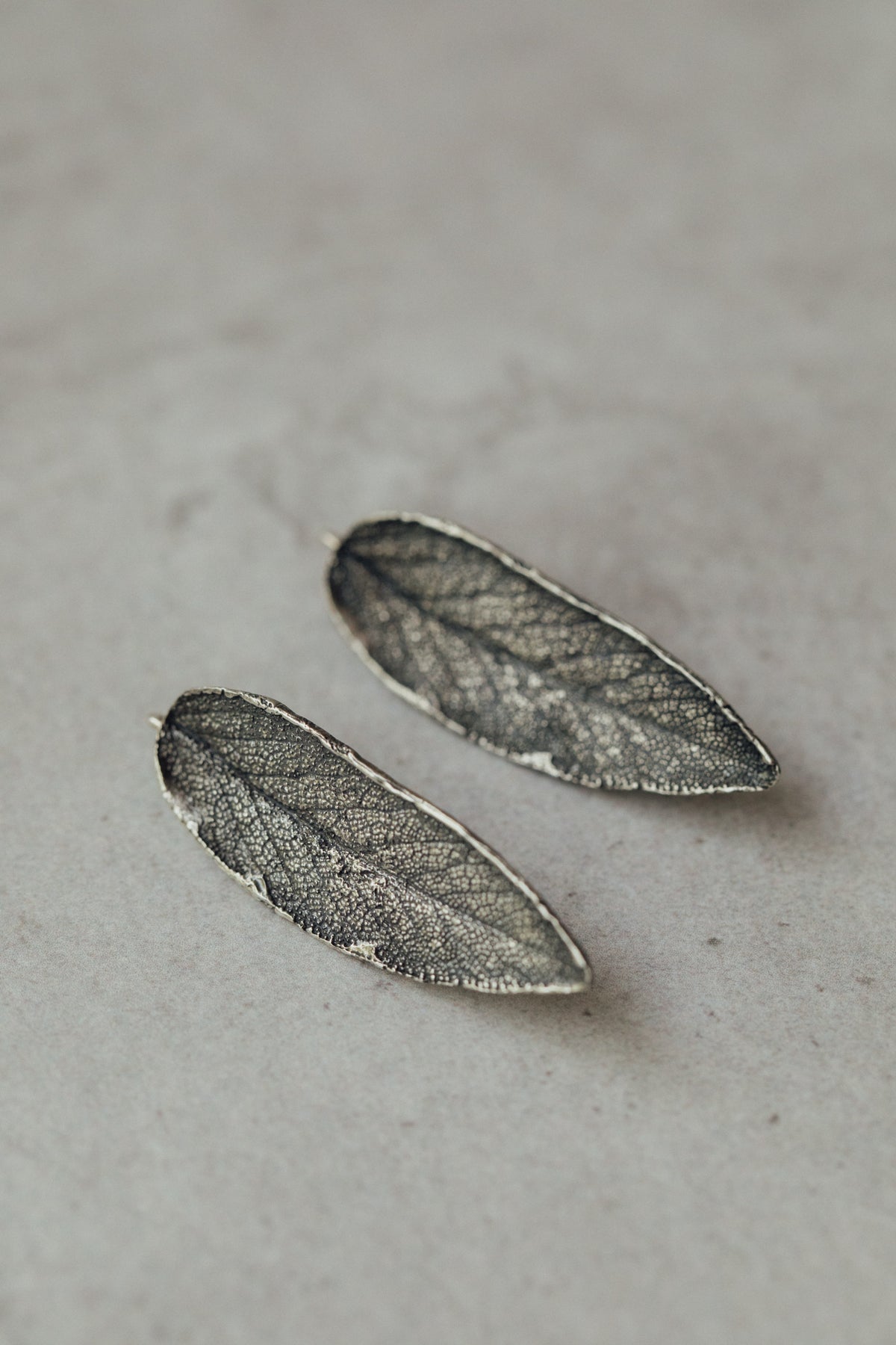 Pendientes Salvia L