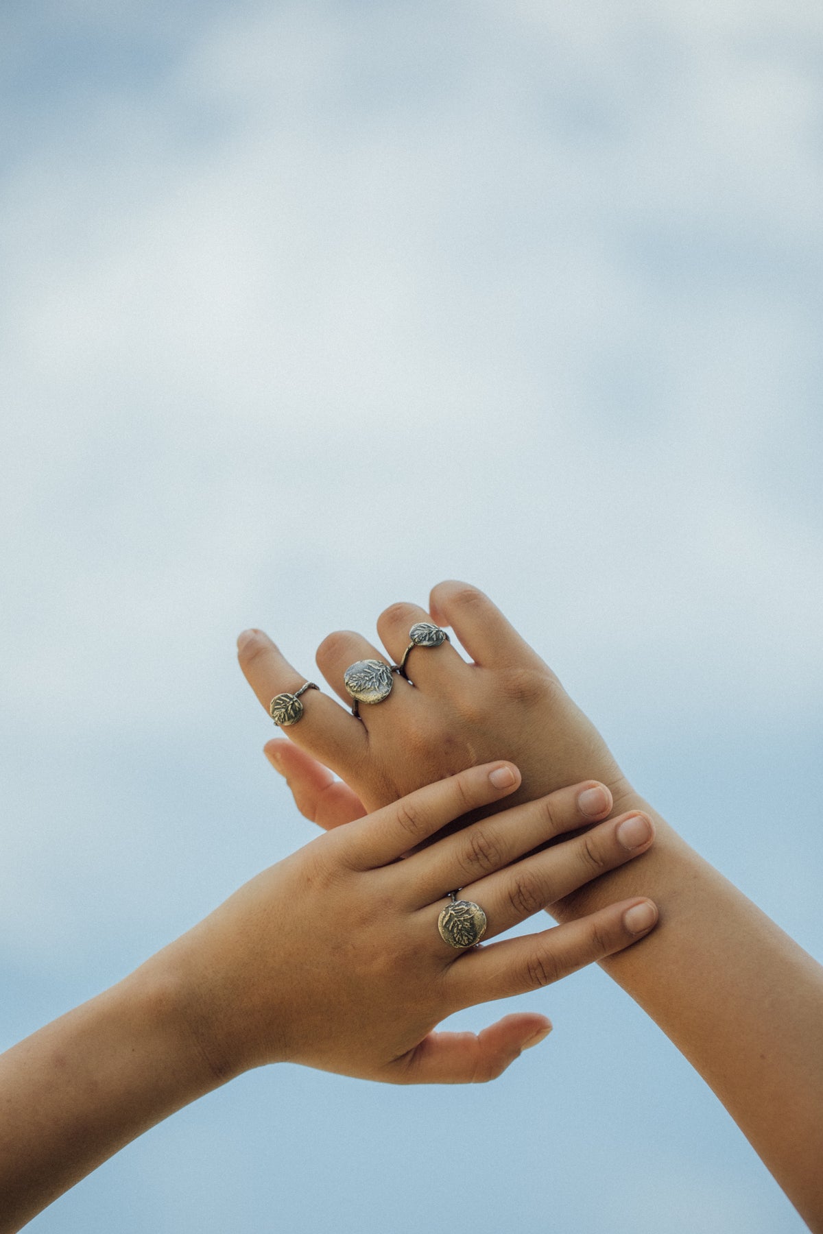 Anillo Erica L