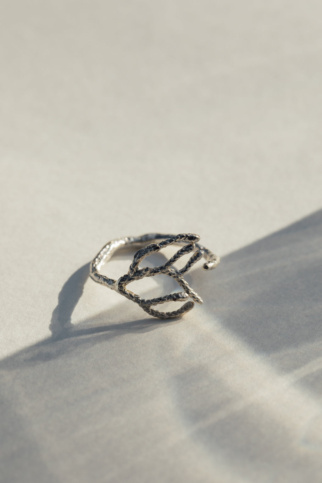 Anillo Thuja