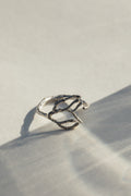 Anillo Thuja