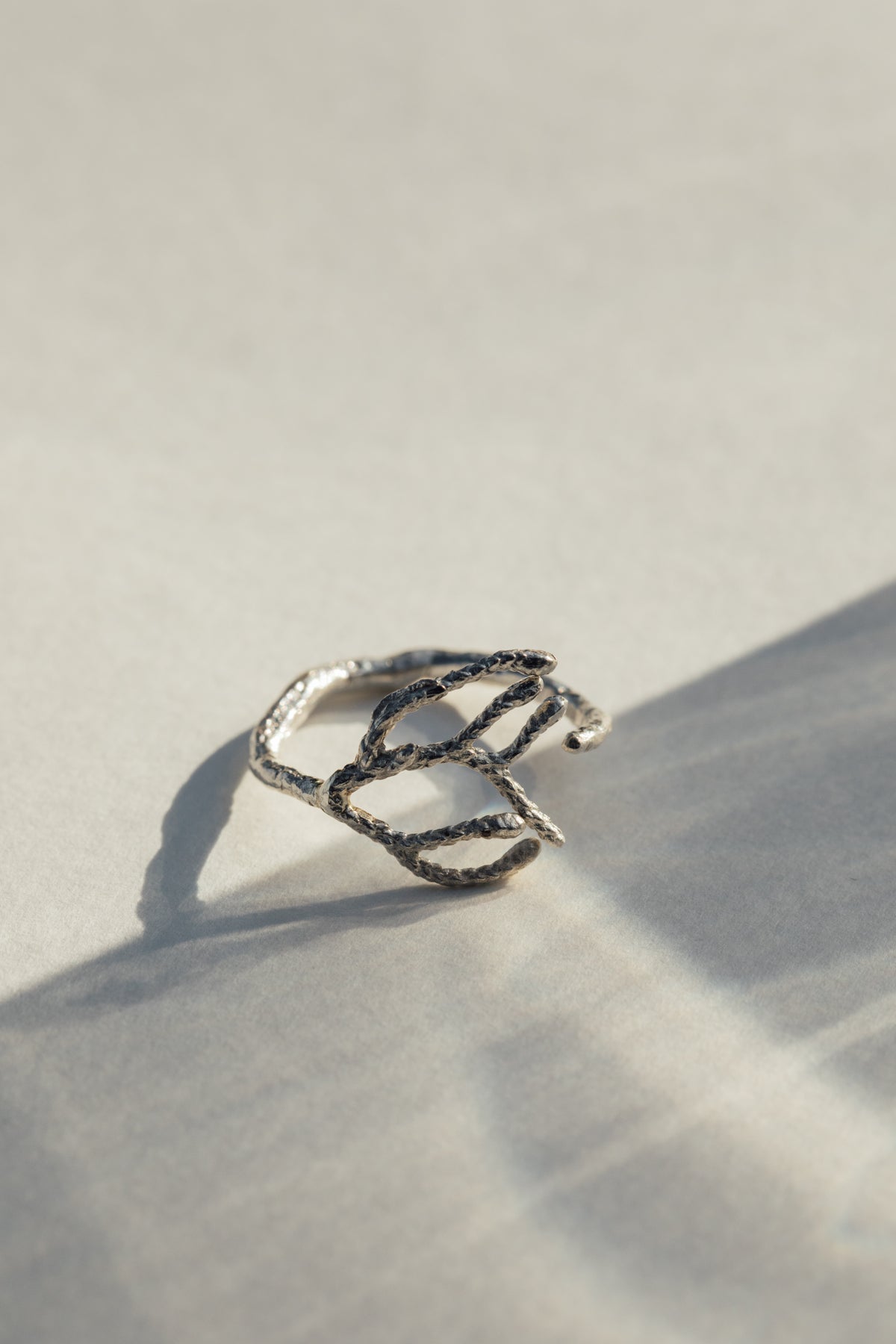 Anillo Thuja