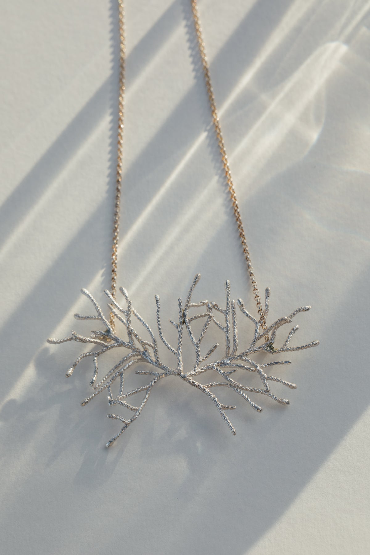 Collar Thuja