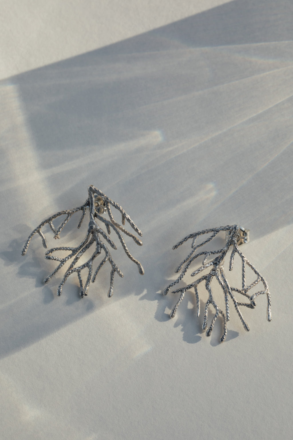 Pendientes Thuja L
