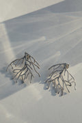 Pendientes Thuja L