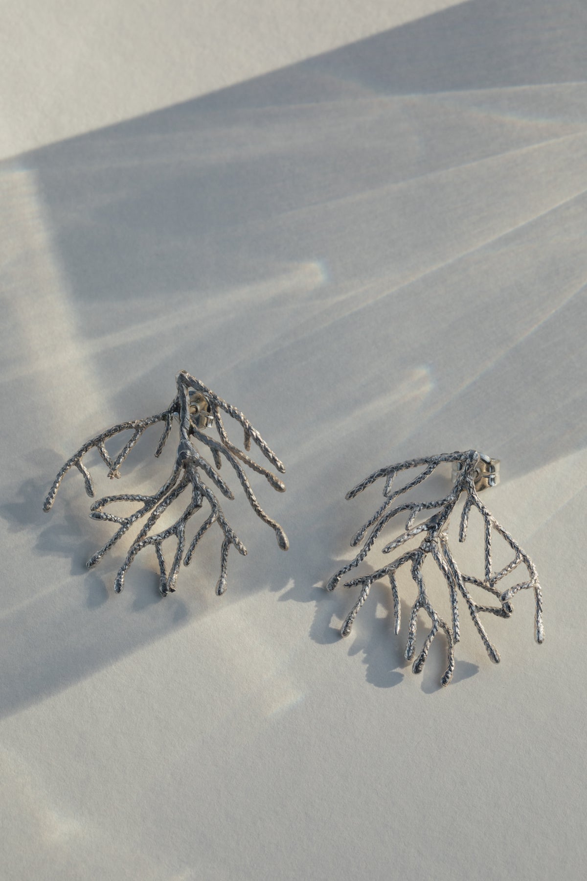 Pendientes Thuja L