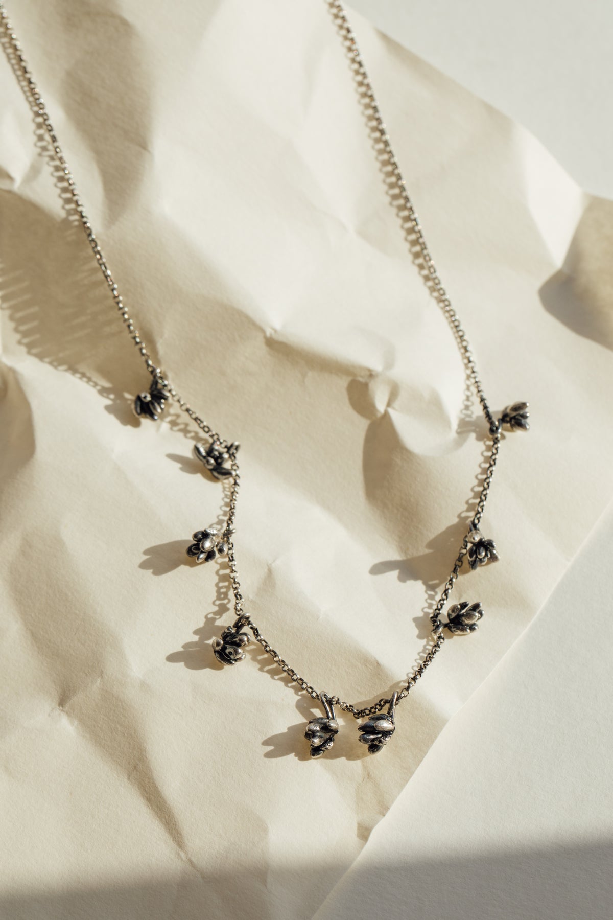 Collar Sedum 9
