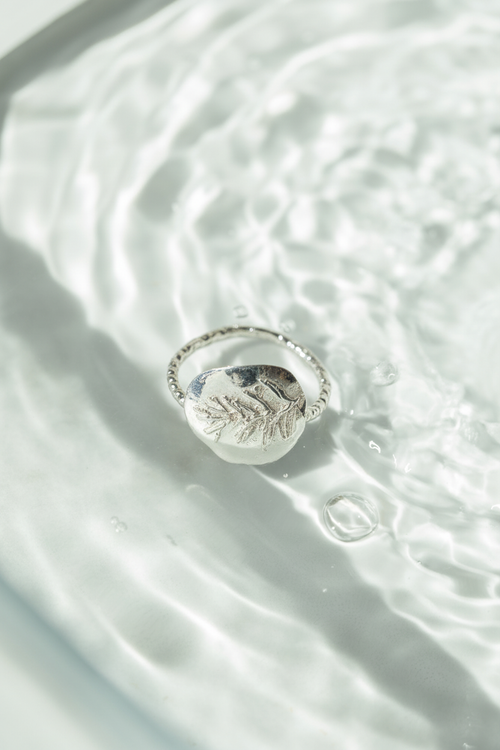 Anillo plata brillante