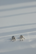 Pendientes vertical 2